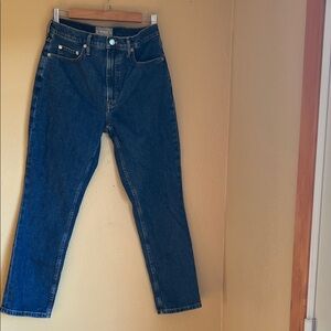 EUC Everlane Jeans The Original Cheeky Jean 29R